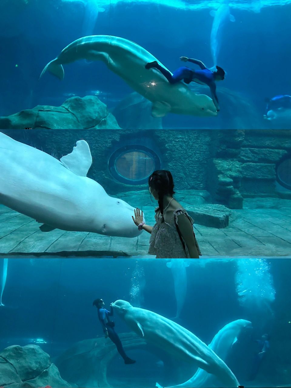 暑期最值得一去的杭州海洋馆 家人们这妥妥的约会圣地!遛娃好去处啊!