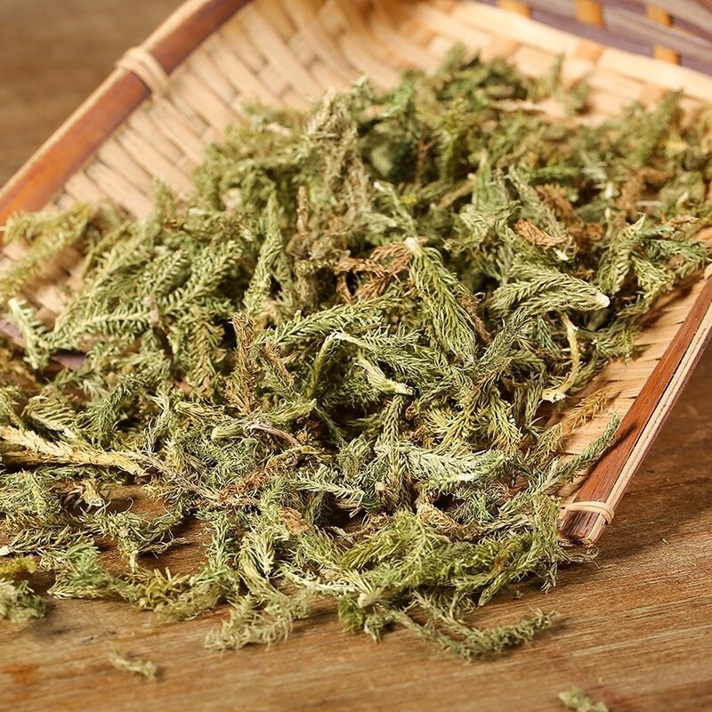 祛风草药大全图片图片