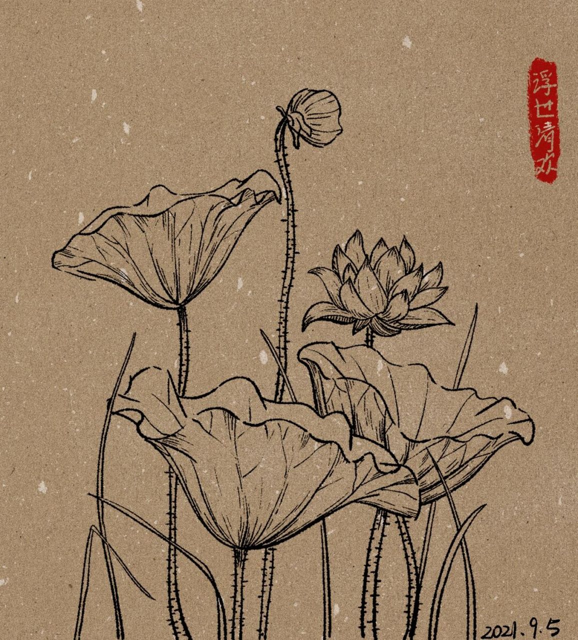 坚持100张线稿练习/29|荷花 0415又是画荷花的一天.