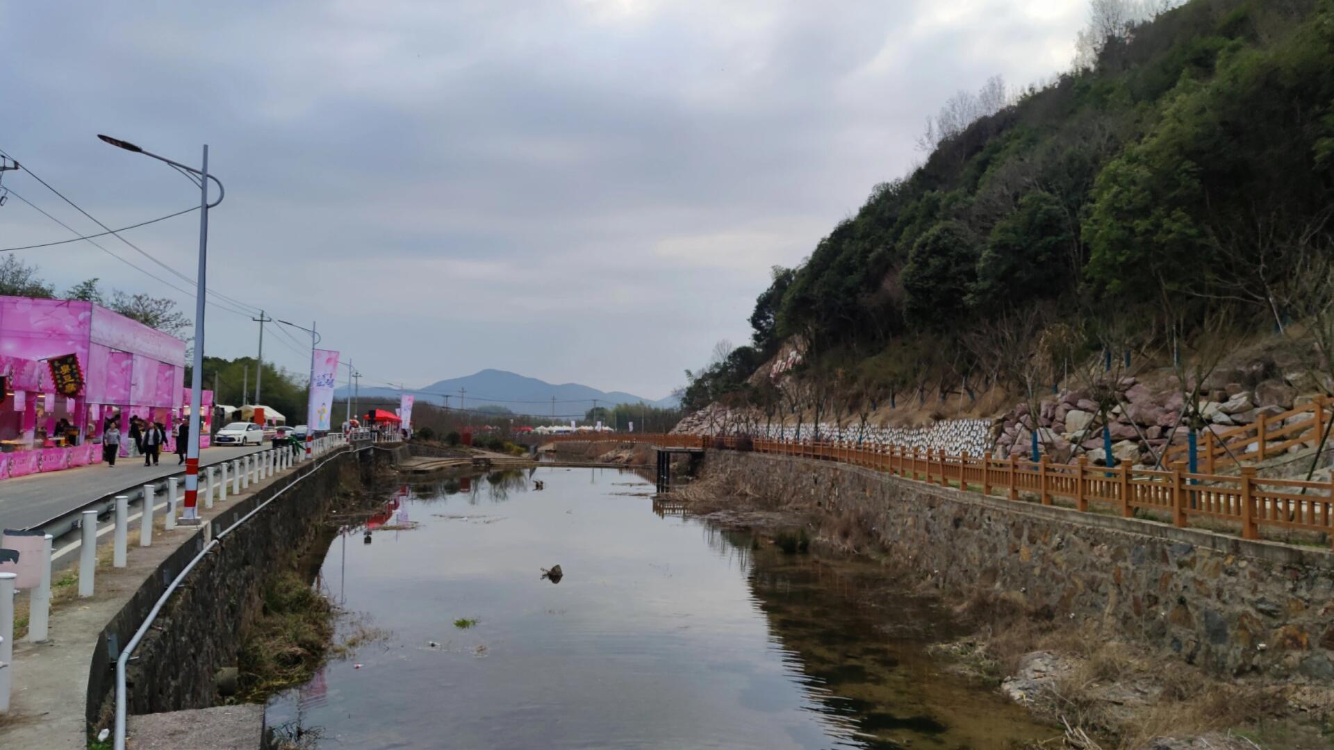 上虞张村樱花谷无滤镜实拍&避坑指南 已经替大家踩雷了,一朵花都没开.