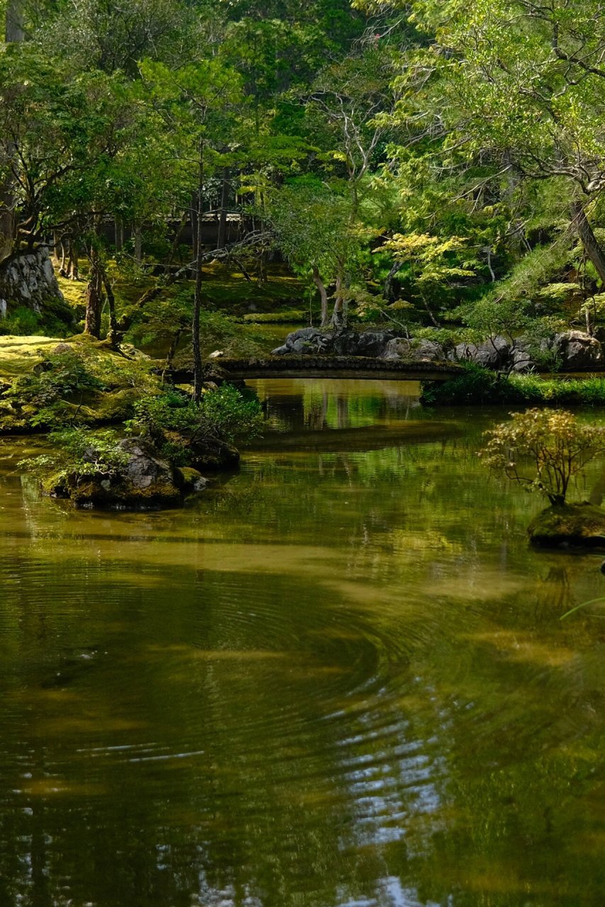 日本西芳寺图片