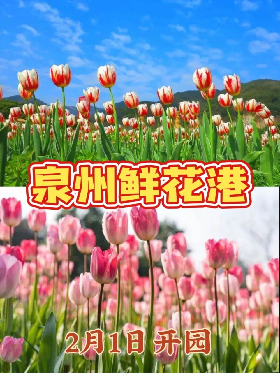 泉州鲜花港 门票图片