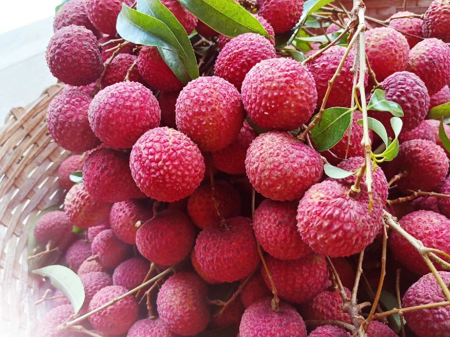 正宗香山鸡嘴荔枝 40元1斤包邮 香山鸡嘴荔