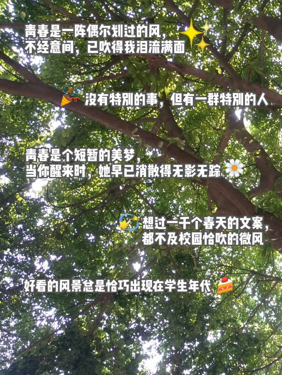 关于青春回忆的治愈短句 │青春│回忆│文案│     	 〔〕青春是一阵