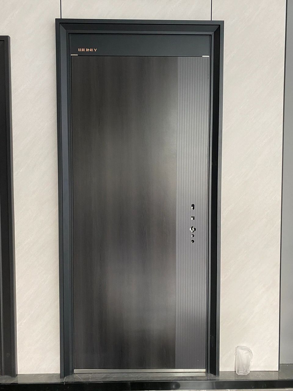 王力gl098甲级防盗入户门 今日分享王力安全门智能锁新品门 gl 098