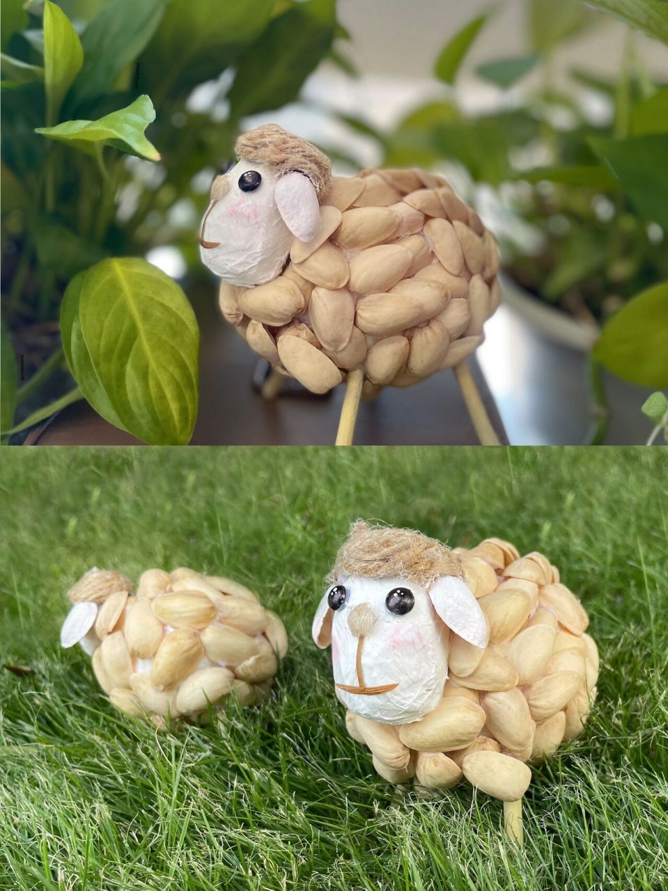 学会101种自然手工|如何制作开心果小羊?