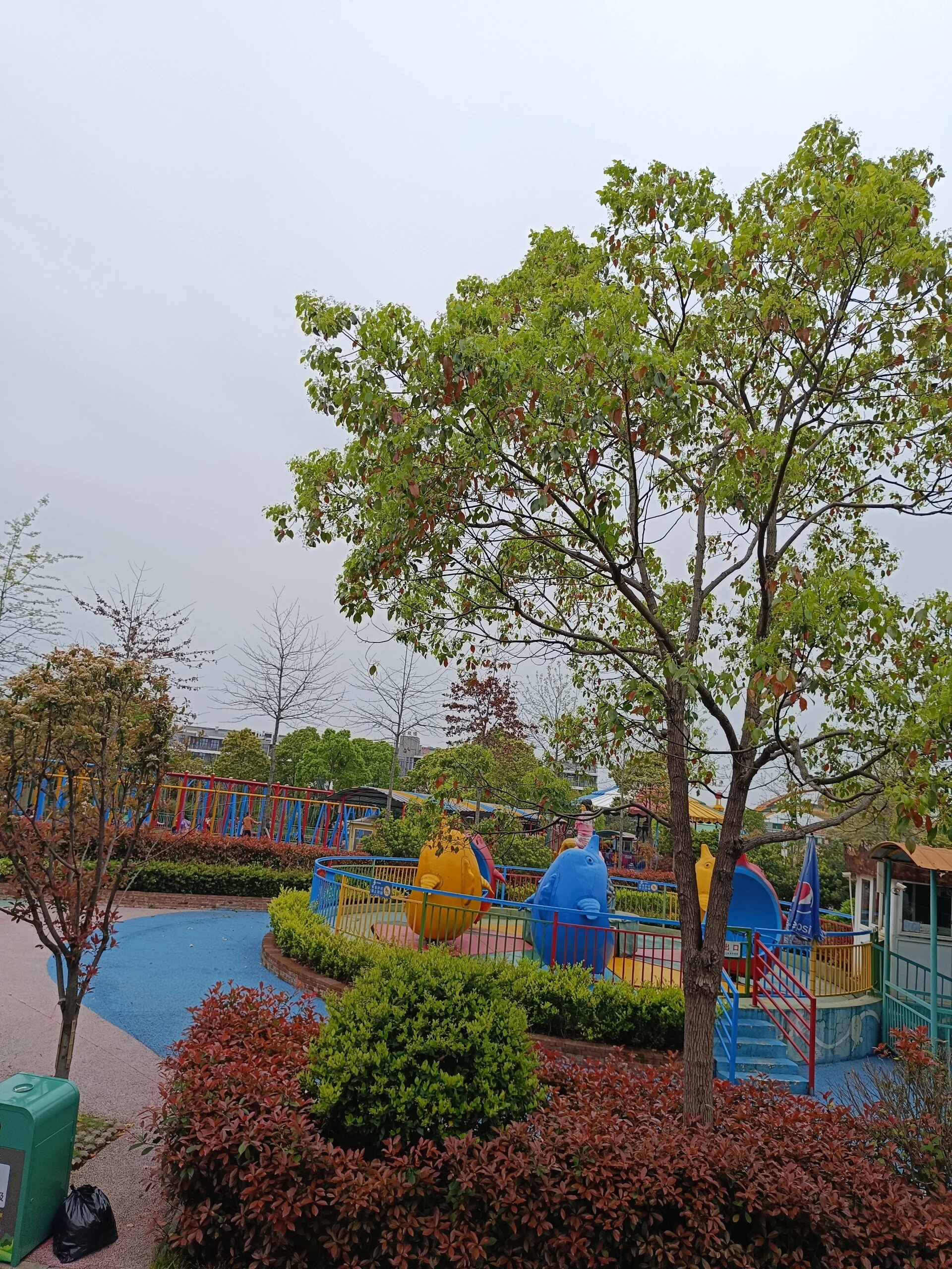 柏乐园-长沙亲子年票景点打卡 柏乐园位于望城乔口,距离长沙市区还是