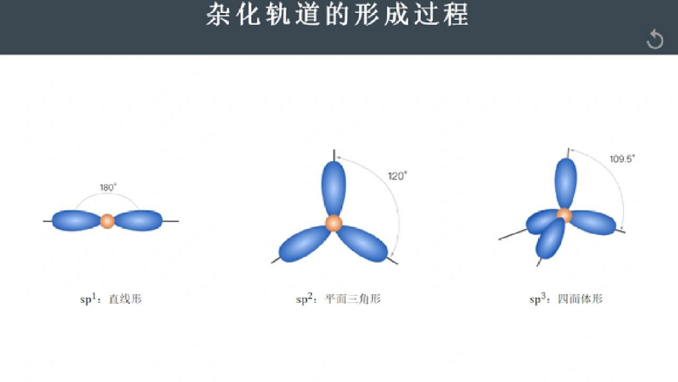 sp轨道杂化示意图图片