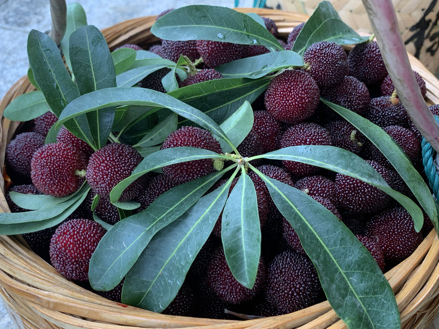 兰溪马涧大棚杨梅 兰溪马涧大棚杨梅,绝了,巨甜 可上山采摘,全国可