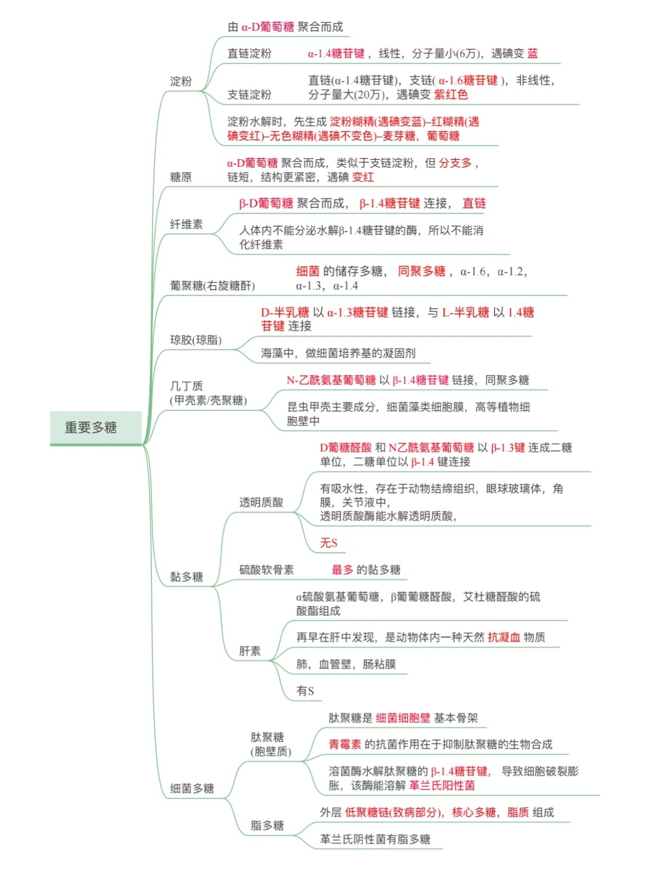 糖异生途径思维导图图片