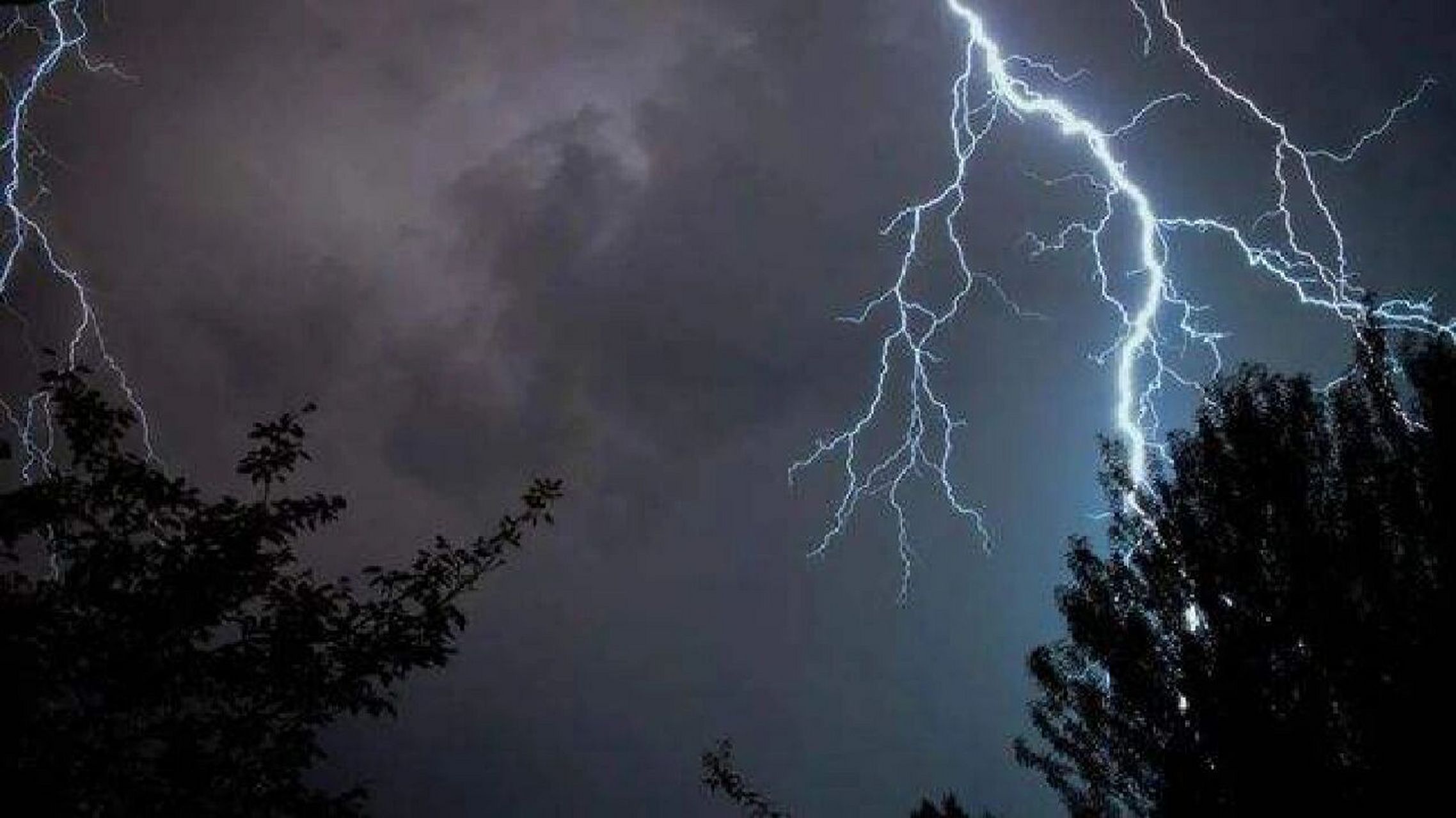 好害怕啊,一直都在打雷,还闪进我的房间里面来了,然而我还在玩手机