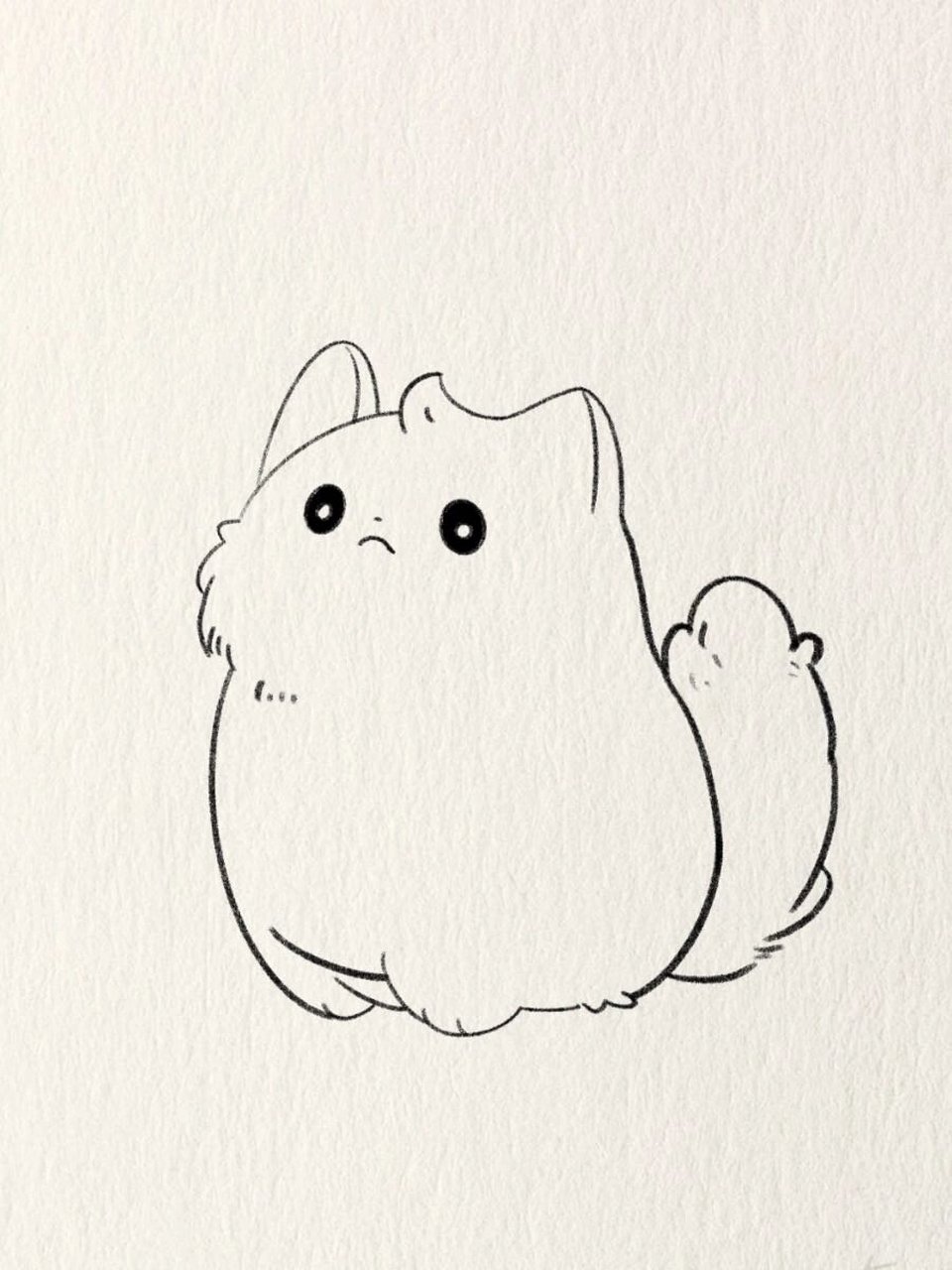 简笔画教程——可爱小猫猫