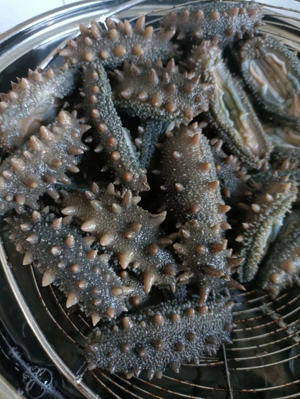 大家吃的海参都多钱一斤,咱家是野生海参 给客户泡发海参,这些是102根