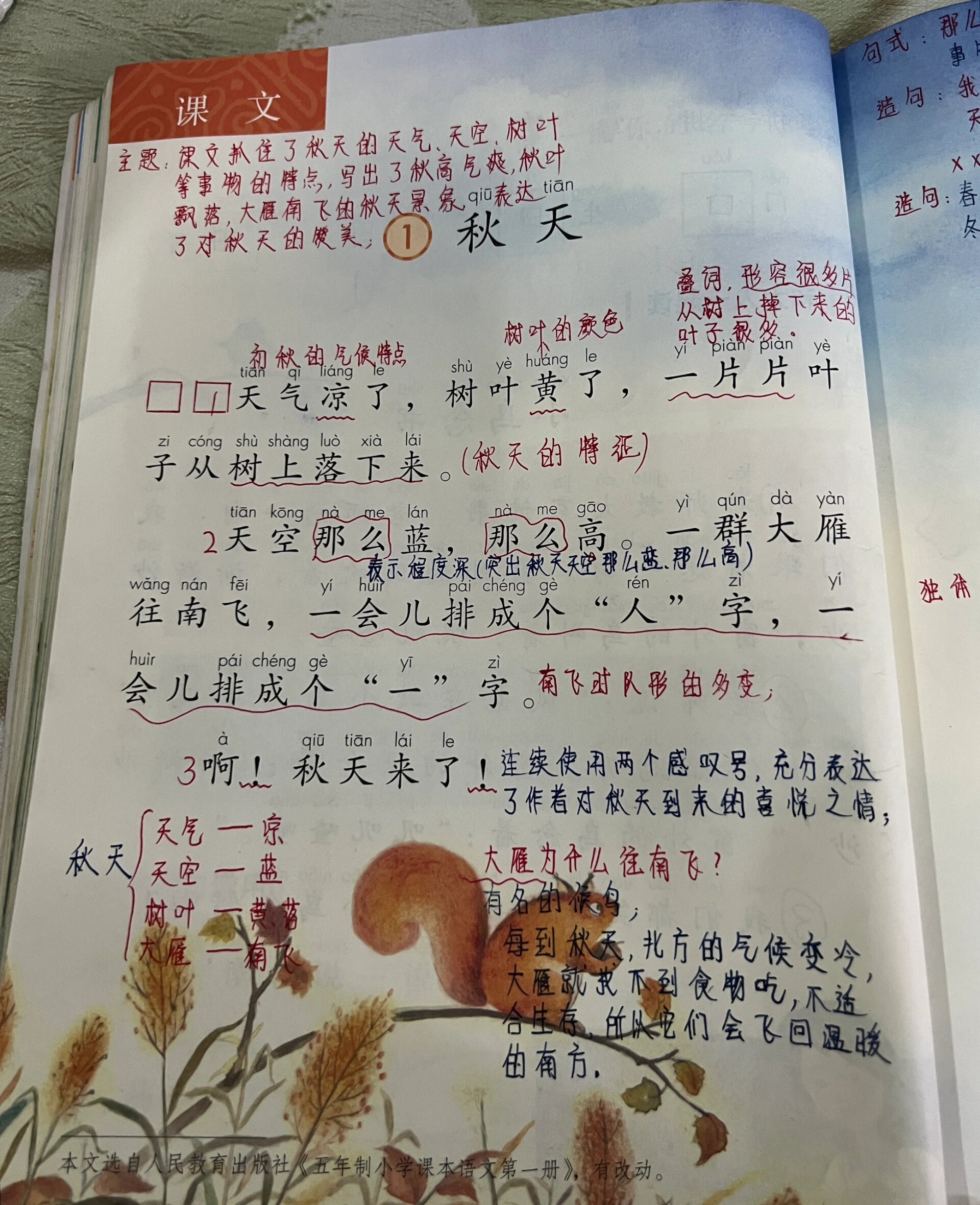 秋天阅读答案  第1张