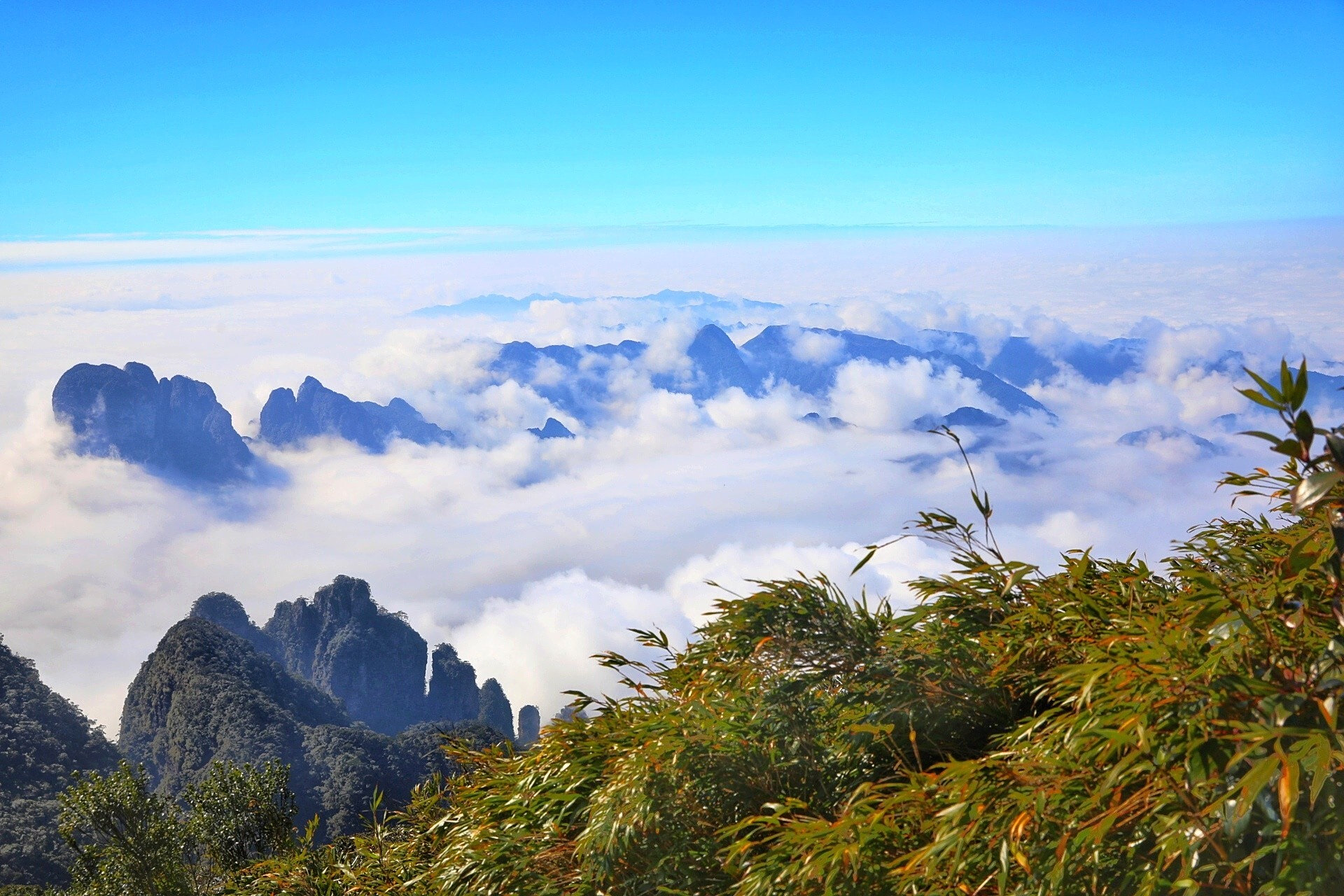 广西金秀| 圣堂山绝美云海,不火真的没天理 大瑶山的主峰圣堂山绝对是
