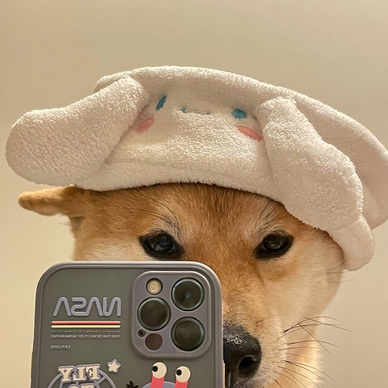 狗狗的自拍到底有多可爱 柴犬头像 柴犬表情包 三丽鸥玉桂狗