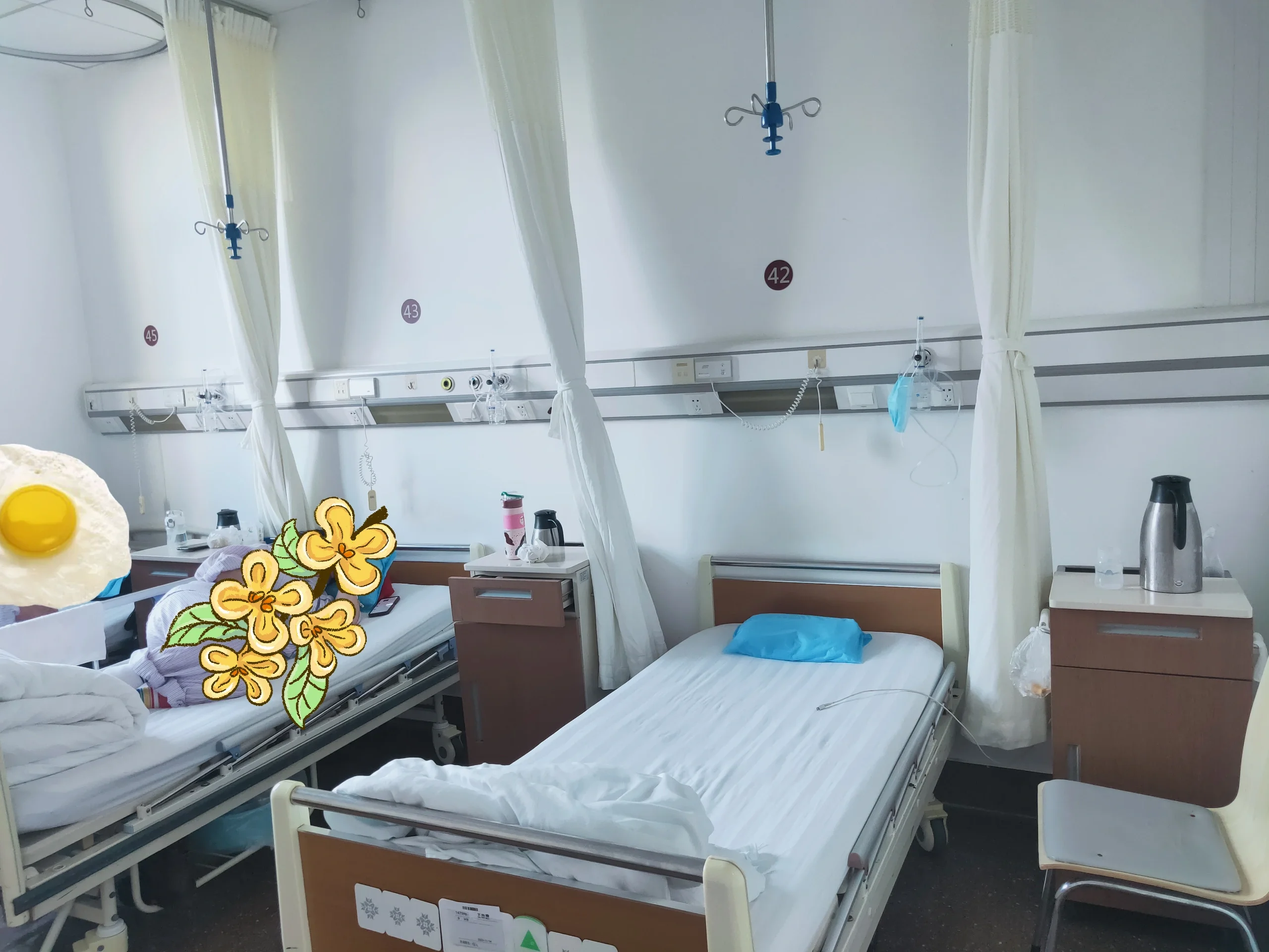 关于阜外医院住院办理陪诊挂号复查时间提前提醒，不错过康复节点的信息