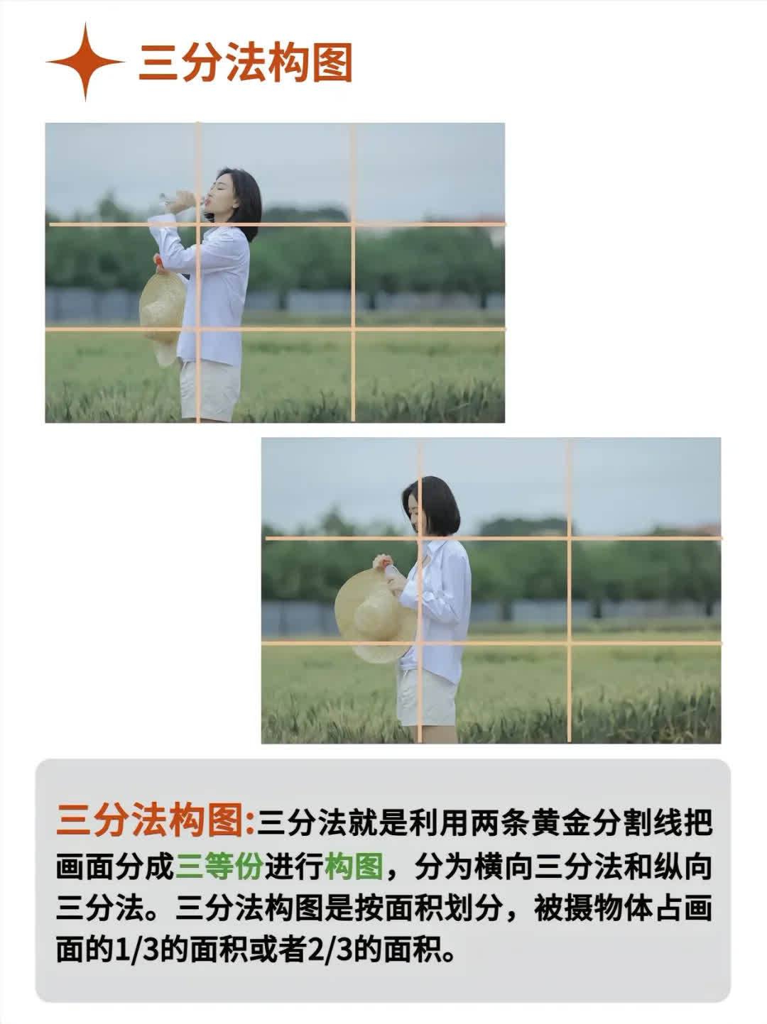 摄影师拍摄教程构图技巧，技巧大全