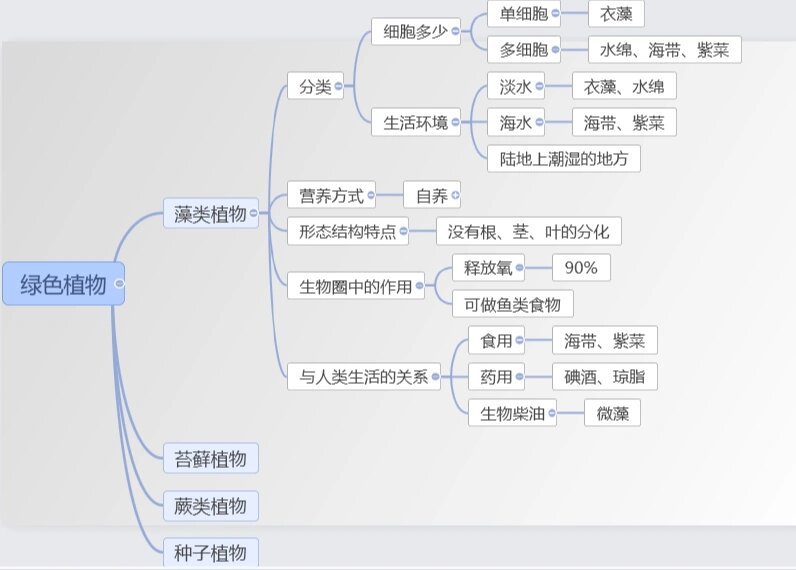 藻类植物 藻类植物思维导图