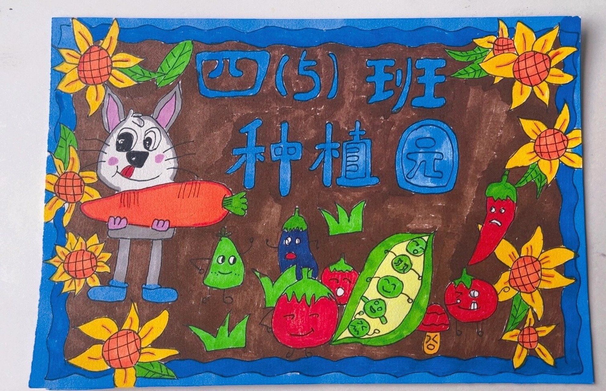 班级菜园图 图一老师给的,图二孩子画的