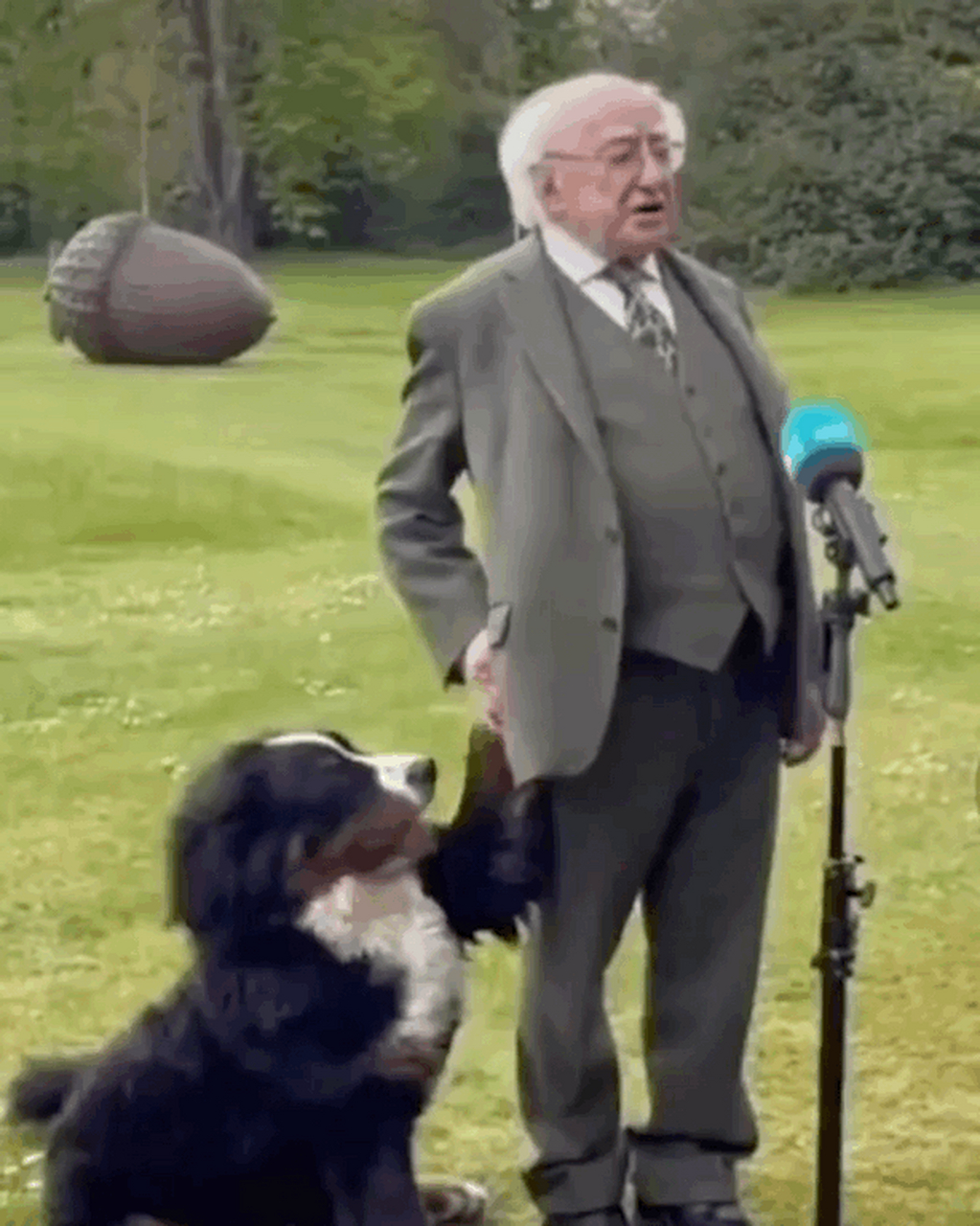 我特别喜欢撒娇,我爸爸是爱尔兰总统.  ig:gentlemensgram