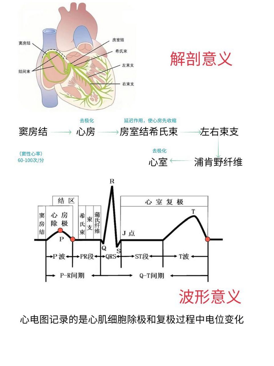 心电图首饰寓意图片