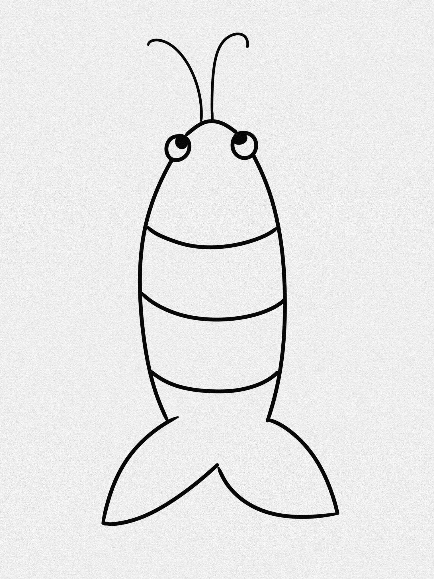 简笔画—虾