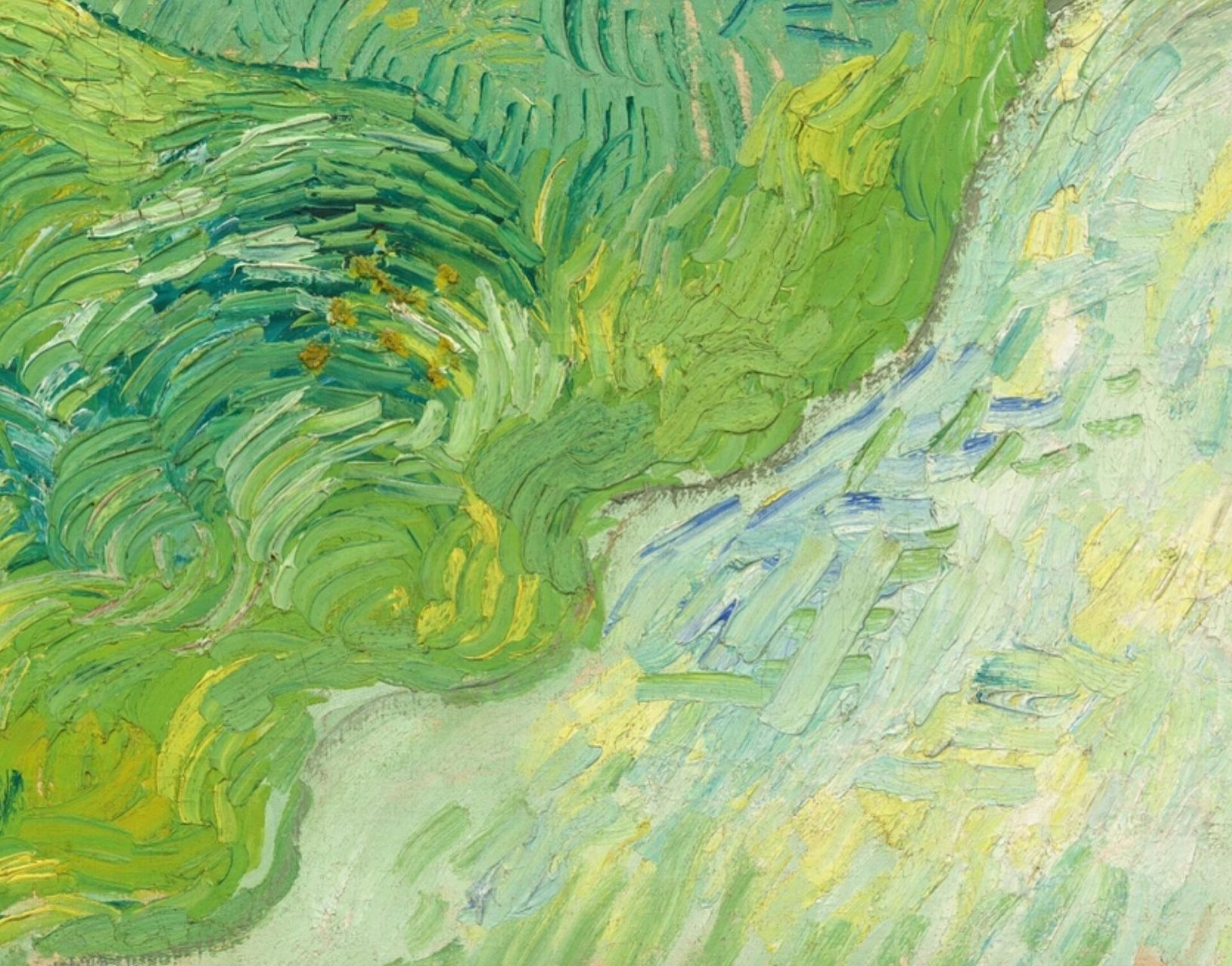 96世界名画欣赏|梵高 奥维尔的绿色麦田 97原名:《green wheat