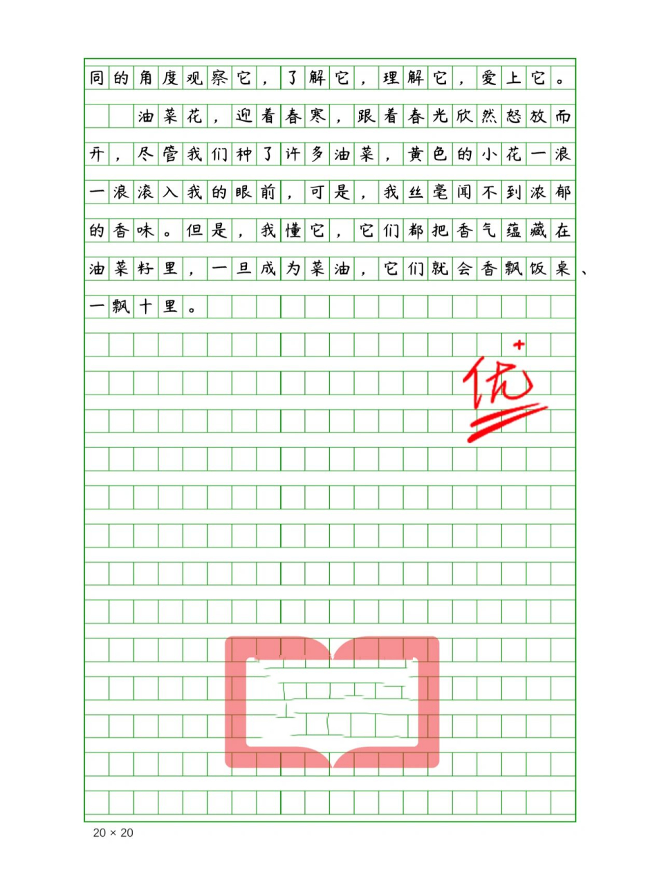 小学生优秀作文《油菜花》400字