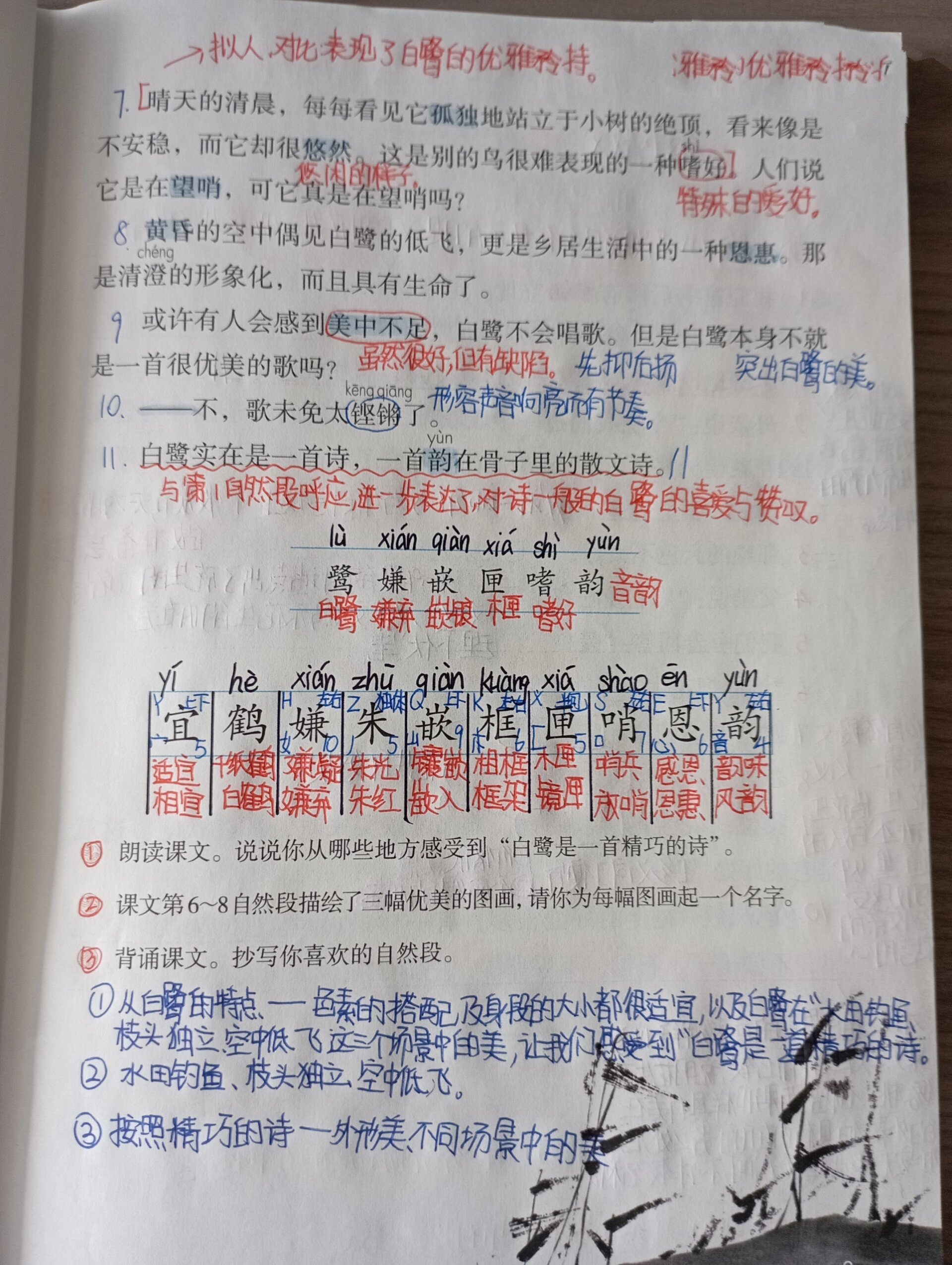 白鹭 课堂笔记