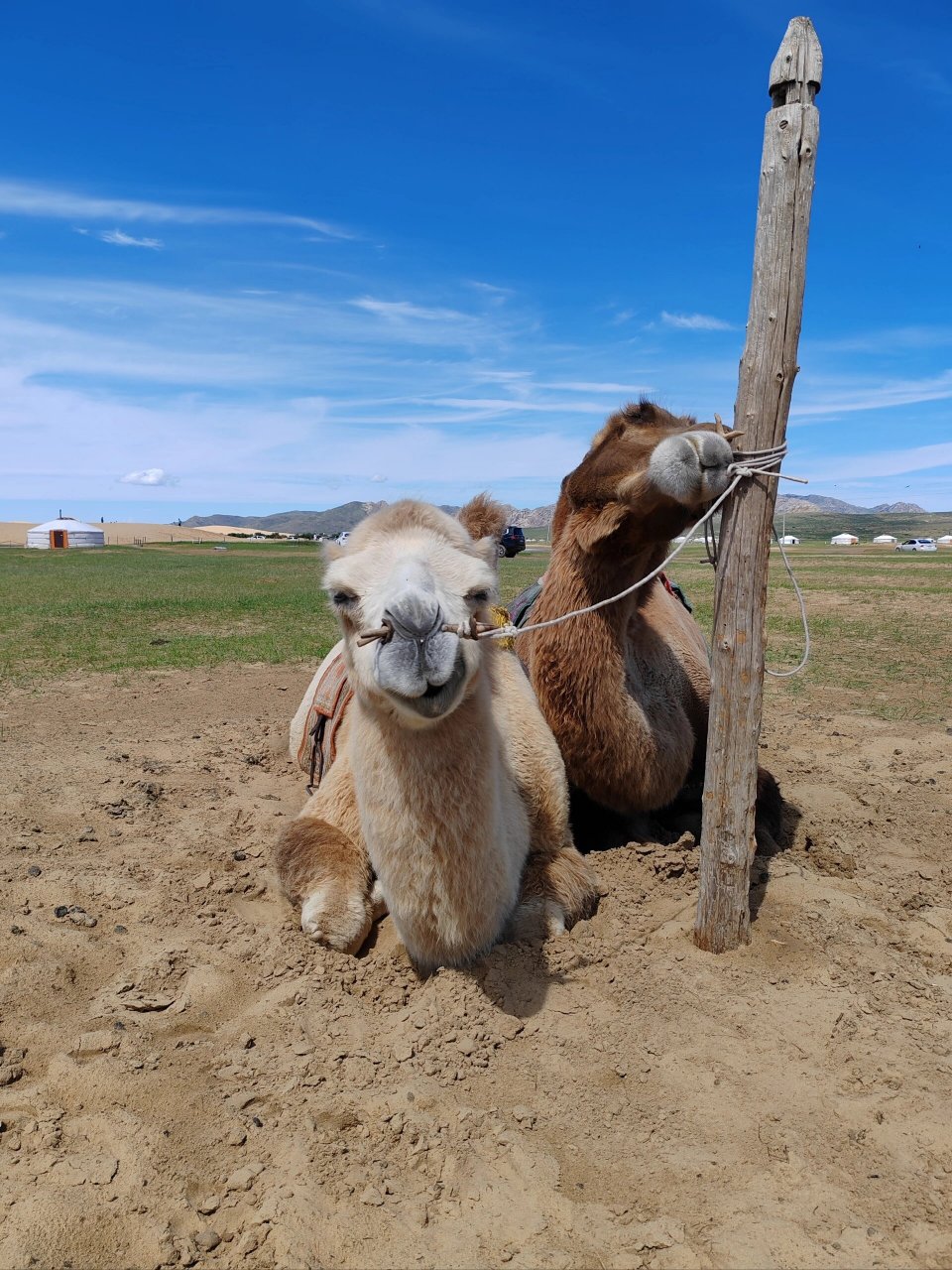 蒙古国day6|哈拉和林   乌兰巴托→elsen tasarkhai (sand dune mini