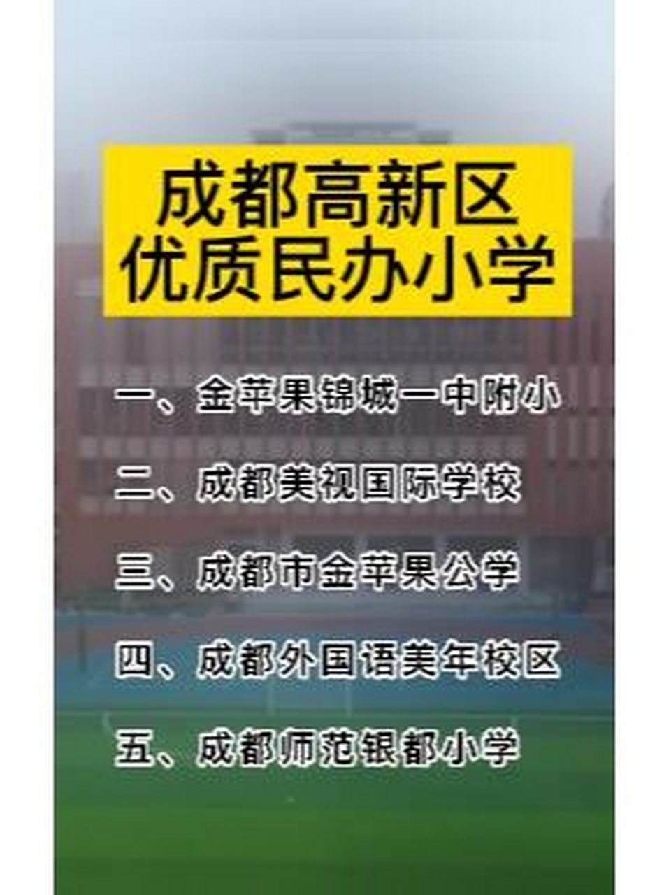 成都高新区优质民办小学 成都美视国际学校: 成都美视国际学校是西南