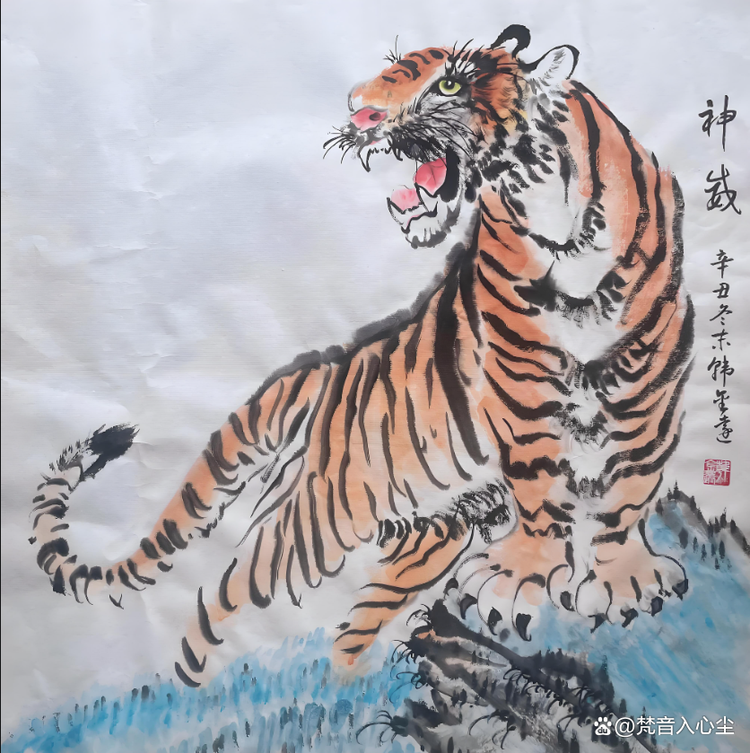 这背后,其实藏着他们年轻时的奋斗与积累