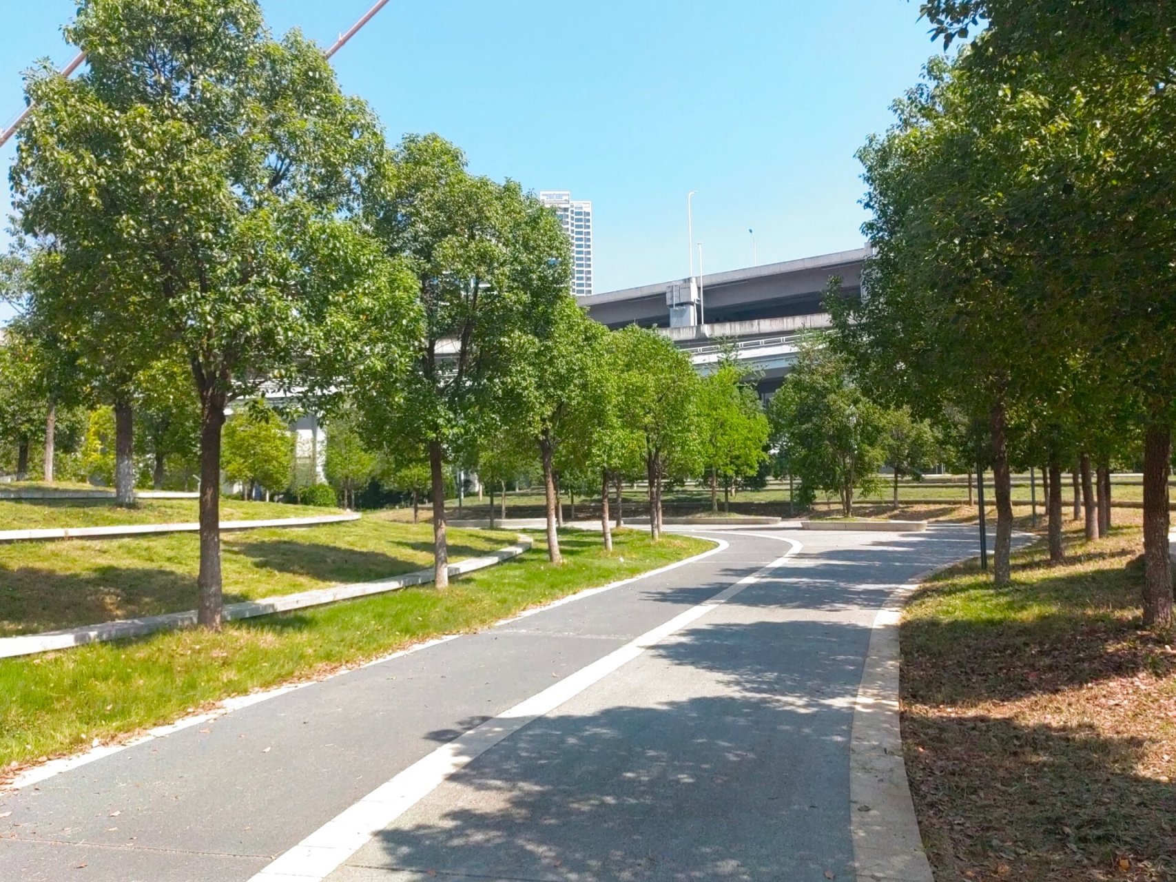 漫步杨泗港江滩公园  周末的杨泗港江滩公园也挺安静的,可能阳光过于