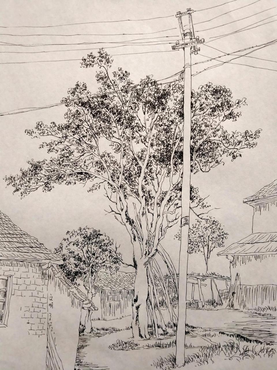 风景写生61乡村田园618开素描画