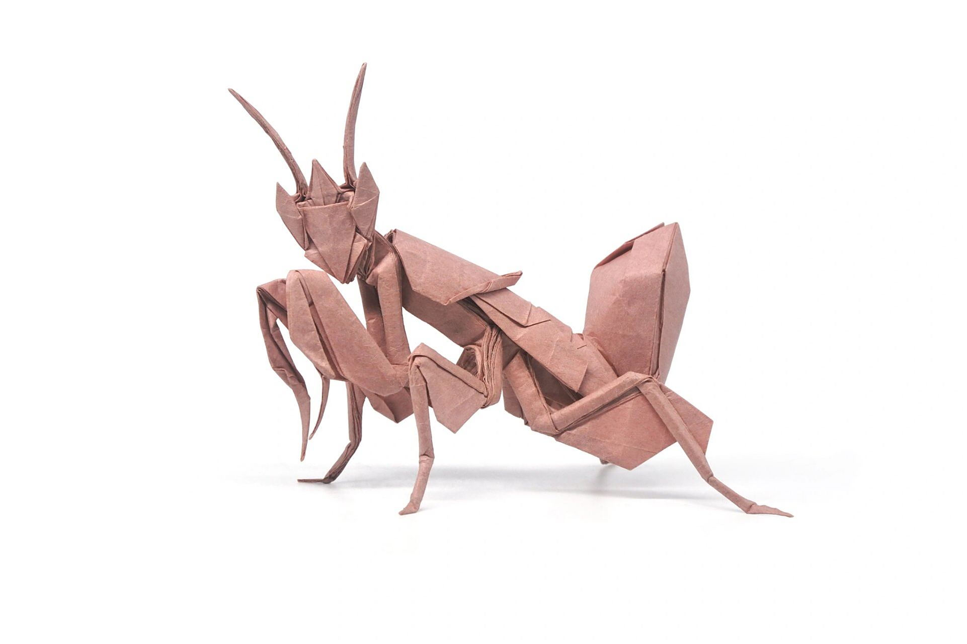 原创折纸 兰花螳螂 用纸:和纸