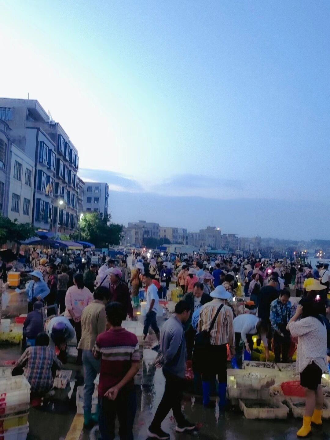 湛江凌晨六点的海边海鲜市场