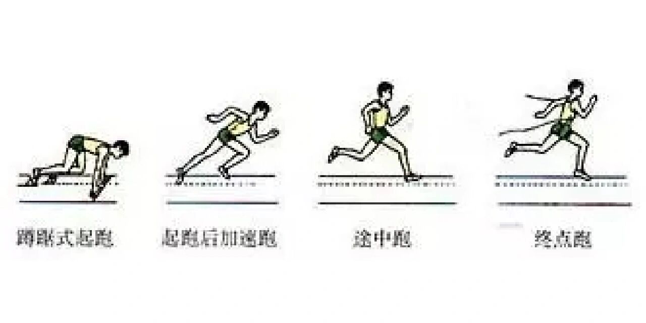 观众们立刻发出热烈的掌声和尖叫声