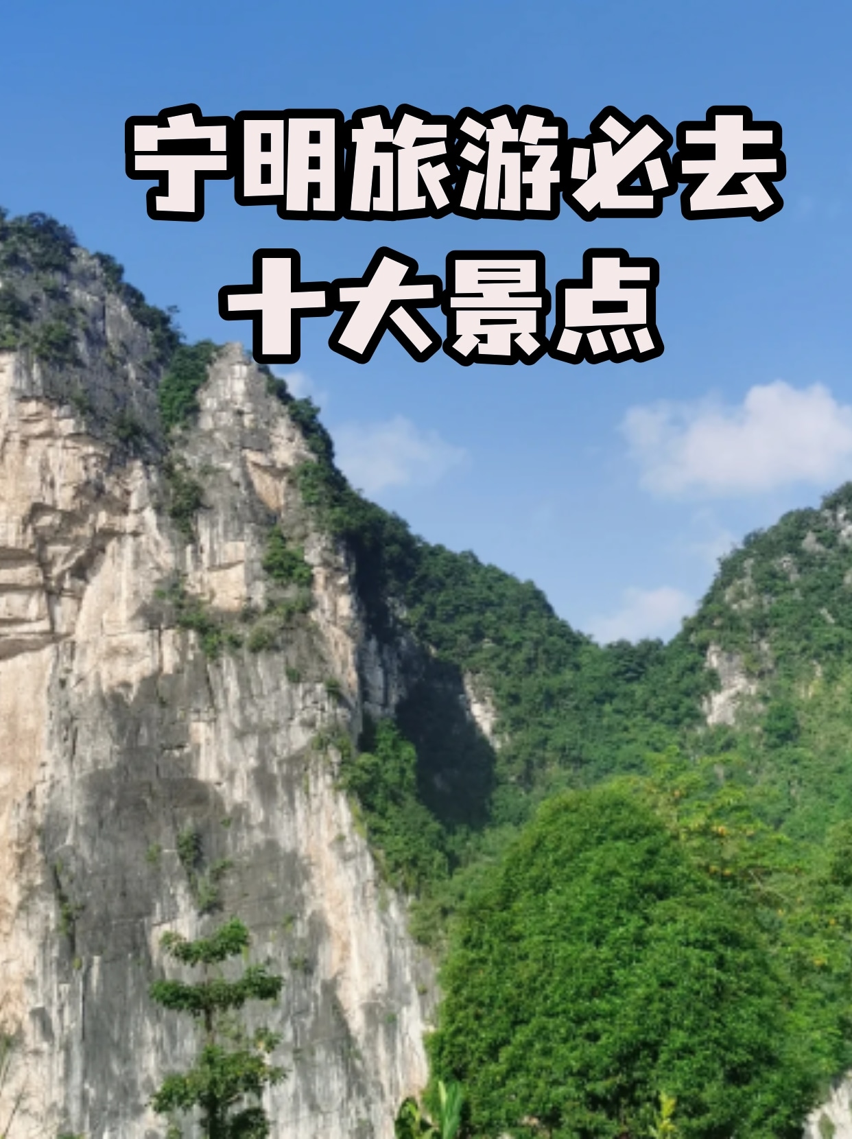 崇明旅游景点十大排名图片