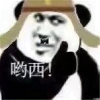 表情包之太君系列