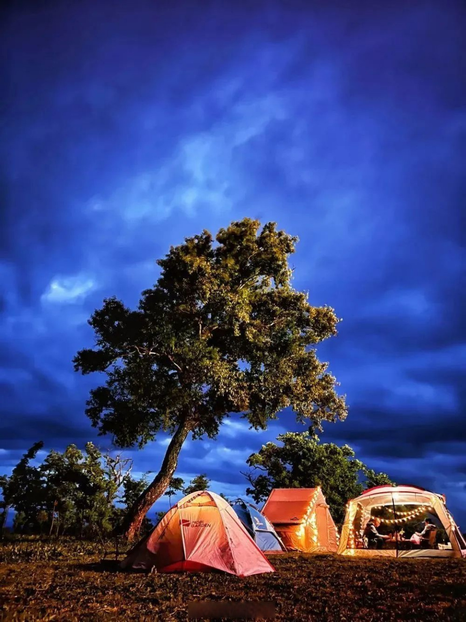 来金江花海赏花,到柳河逸景大峡谷漂流 去五女峰,玉皇山,白鸡峰,罗通
