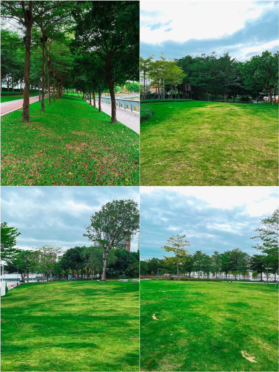 东莞拍照圣地|龙湾湿地公园  景点:龙湾湿地公园 门票:免费 用时:2-3