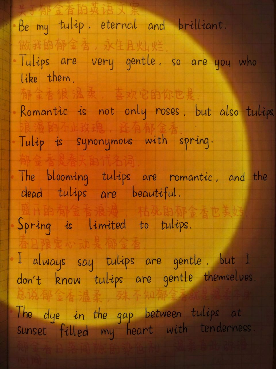 93关于郁金香的英语文案 93be my tulip, eternal and brilliant.