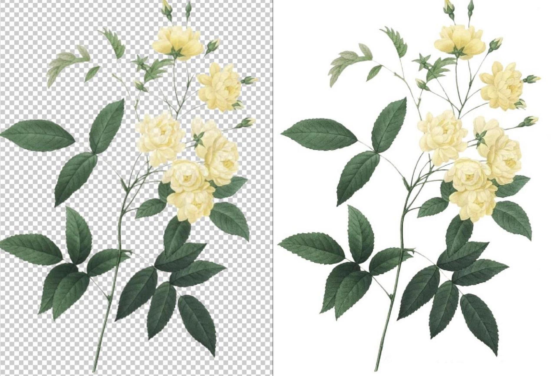 ps训练6 通道抠图 又快又准确的通道抠图方式 下面是通道抠图的步骤