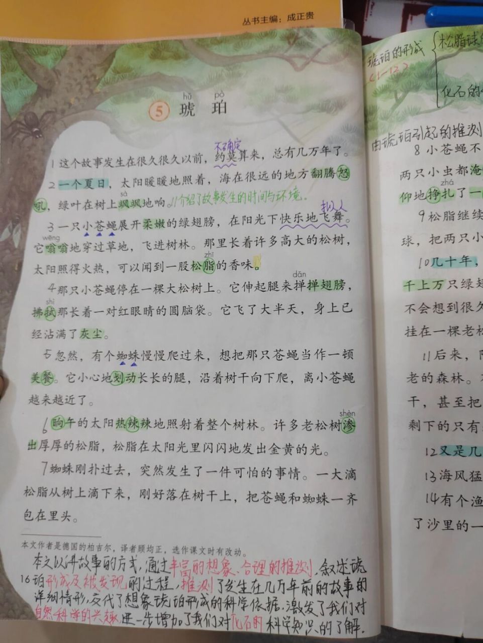 四年級下冊語文第5課《琥珀》課文批註 #四年級下冊語文# #教師備課