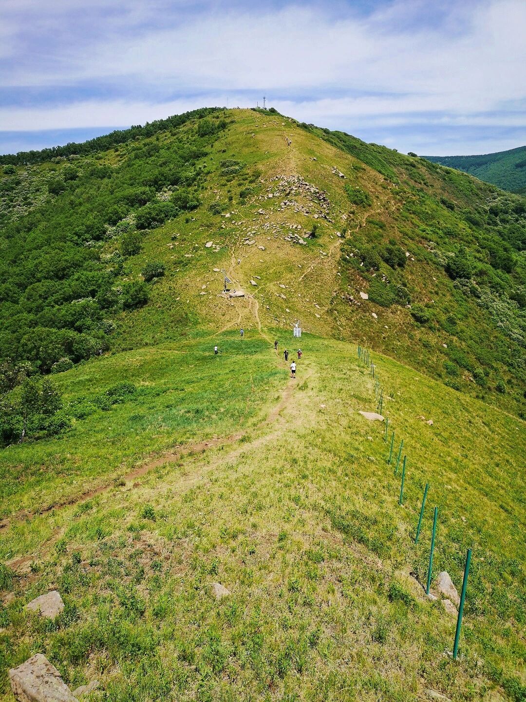 绝美!封山五年的海坨山大草甸终于开放了