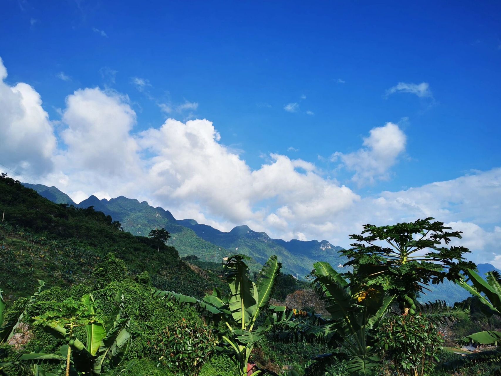 文山麻栗坡   麻栗坡:是云南省文山州壮族苗族自治区位于东南部的一