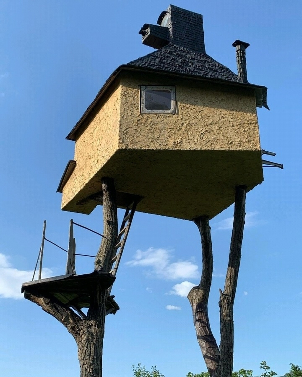 在宫崎骏动画作品中出现的空中飞翔树屋,现实中也确实