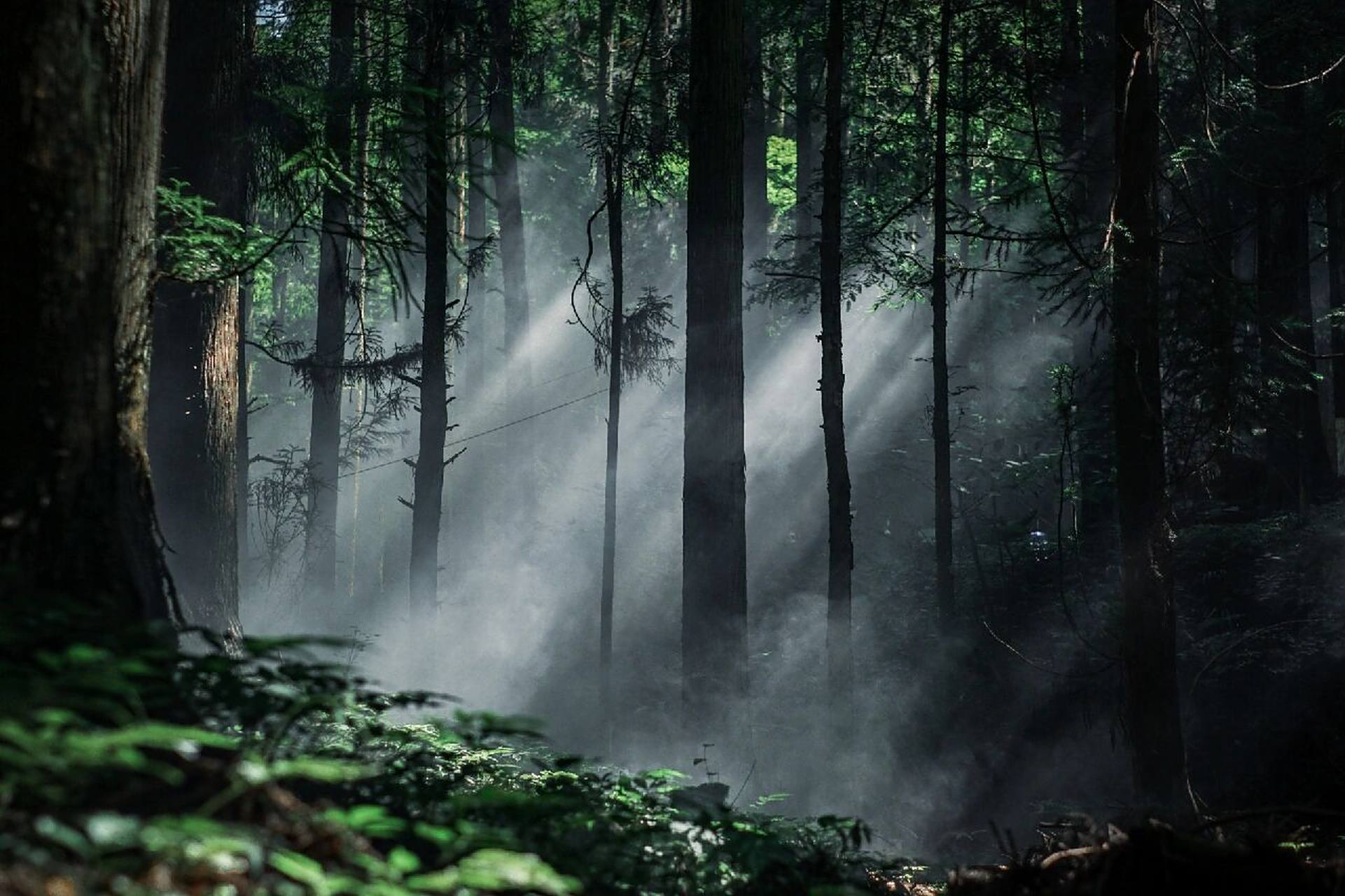 73天然氧吧——坪坝营!