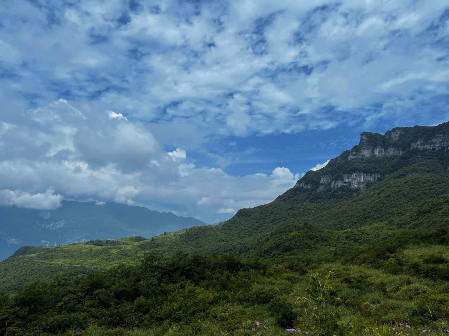 99导航:桐梓县狮子溪镇银厂湾 那边有个柏芷山国际度假公园 导航